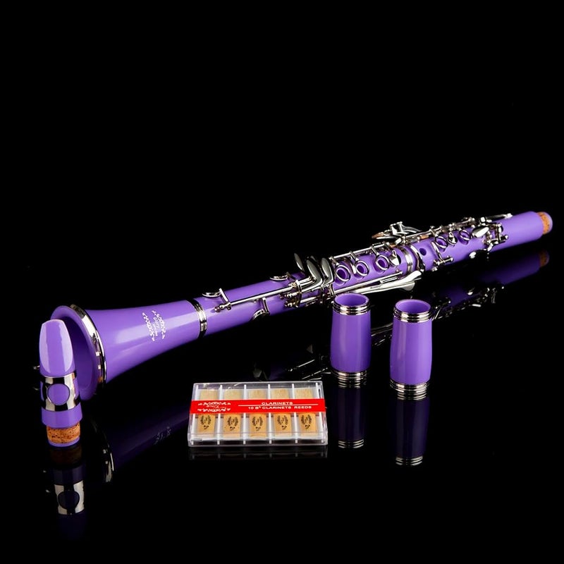 Glory GLY-CLAPUR Professional Ebonite Bb Clarinet with 10 Reeds, Stand, Hard Case, Cleaning Cloth, Mouthpiece Brush and Pad Brush,Purple/Silver - Image 4
